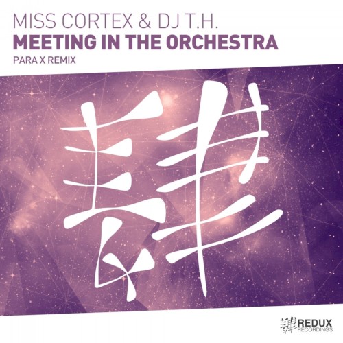 Meeting in the Orchestra (Para X remix)
