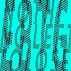 Nothing Left to Lose (RMX)