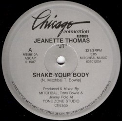 Kenny Dope presents The Shake (Shake Your Body)