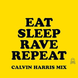 Eat, Sleep, Rave, Repeat (Calvin Harris mix)