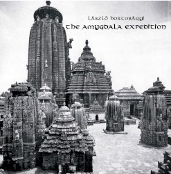 The Amygdala Expedition