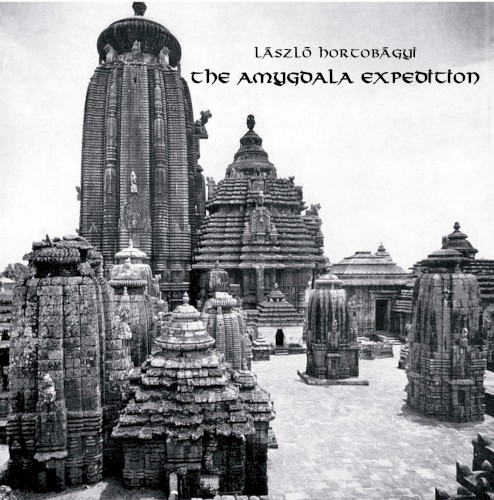 The Amygdala Expedition