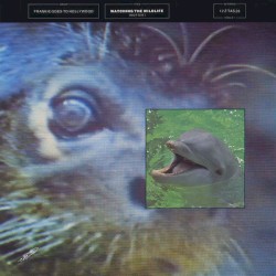 Watching the Wildlife (Movement 2)