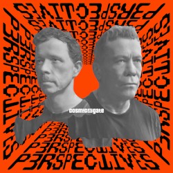 Perspectives (Extended Mixes)