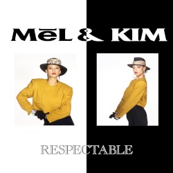 Respectable (The Remix Singles)