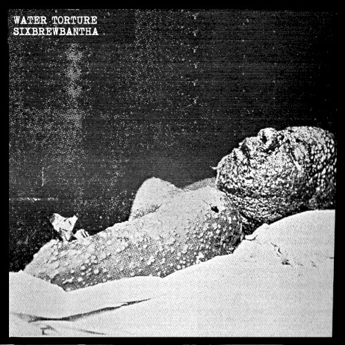 Split 7'' w/ Water Torture