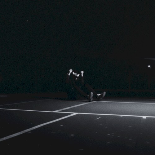 FLWLSFRVR (FLAWLESS EDITION)