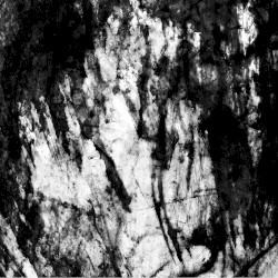 Face of Vehemence