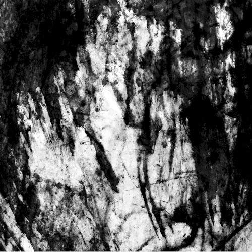 Face of Vehemence