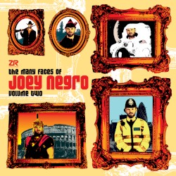 The Many Faces of Joey Negro Vol.2