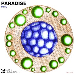 Paradise Remixes