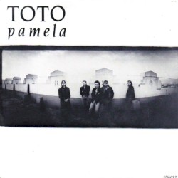 Pamela / You Got Me