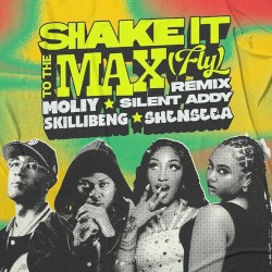 Shake It To The Max (FLY) (Kalash & Maureen Remix)