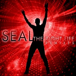 The Right Life: The Remixes