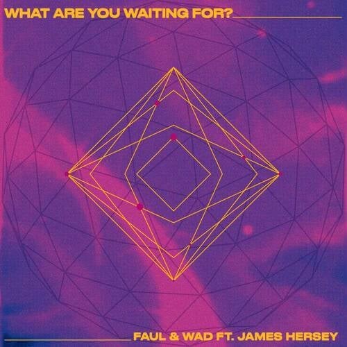 What Are You Waiting For? (extended mix)