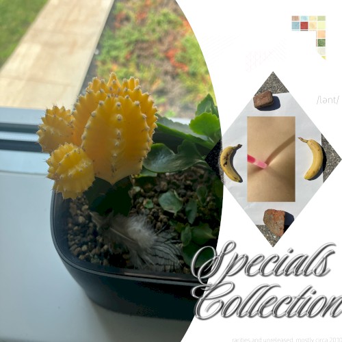Specials Collection: rarities and unreleased. mostly circa 2010