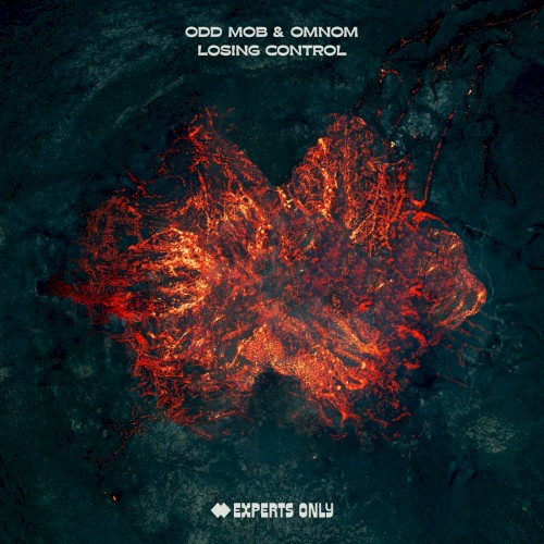 Losing Control (extended mix)