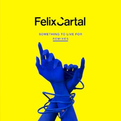 Something to Live For (remixes)