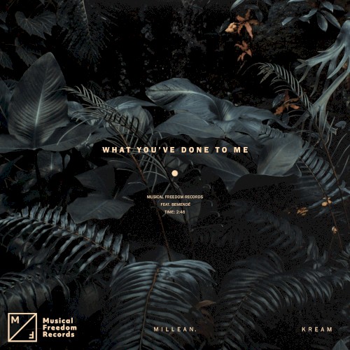 What You've Done To Me (Extended Mix)