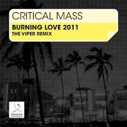 Burning Love 2011 (The Viper remix)