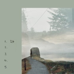 24