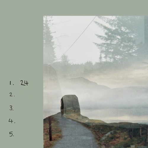 24