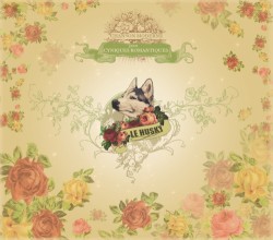 Chanson moderne pour cyniques romantiques