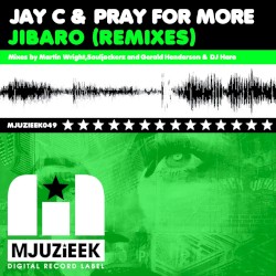 Jibaro (Remixes)