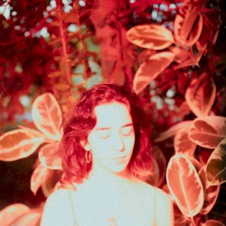 Forest / Demo