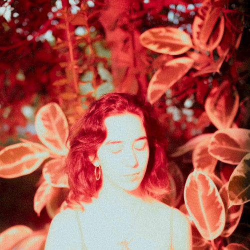 Forest / Demo