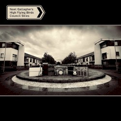 Council Skies (Picture Disc)