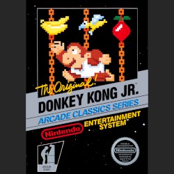 Donkey Kong Jr.