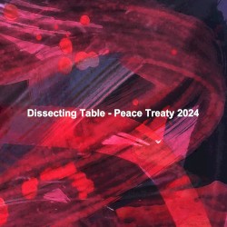 Peace Treaty 2024 (binaural recording)