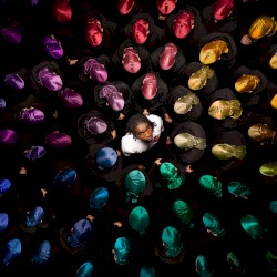 Couleurs du jeu