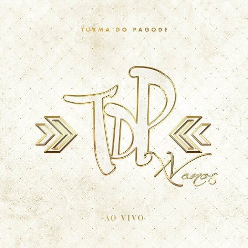 Turma do Pagode XV Anos