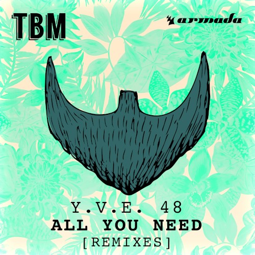 All You Need (Remixes)