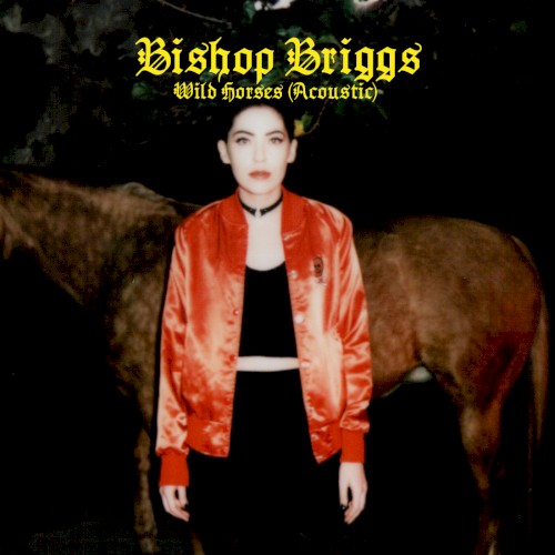 Wild Horses (acoustic)