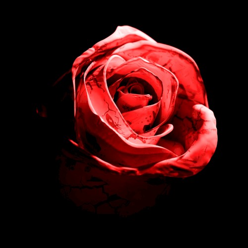 Romantic Homicide (Live)