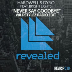 Never Say Goodbye (Wildstylez radio edit)