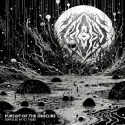 Pursuit Of The Obscure by DJ Tsubi