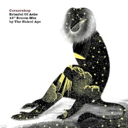 Brimful of Asha (2010 12" Bosom mix)