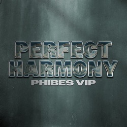 Perfect Harmony (Extended Mix)