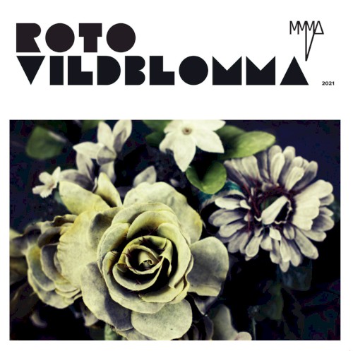 Roto Vildblomma 2021