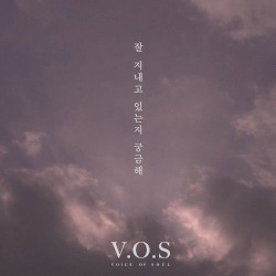 잘 지내고 있는지 궁금해