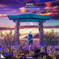 Undercover (club mix)