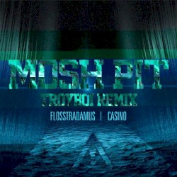 Mosh Pit (TroyBoi remix)