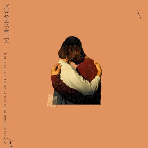 Why Do We Shake in the Cold? (Vintage Culture remix)