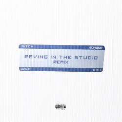 Raving in the Studio (remix)