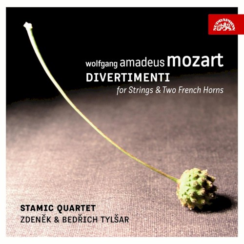 Divertimenti for Strings and 2 French Horns