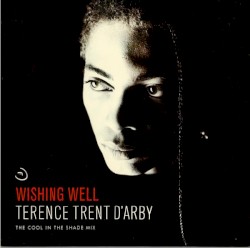 Wishing Well (The Cool in the Shade mix)